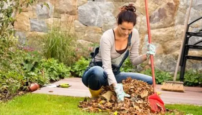 Entretien d’un jardin en automne