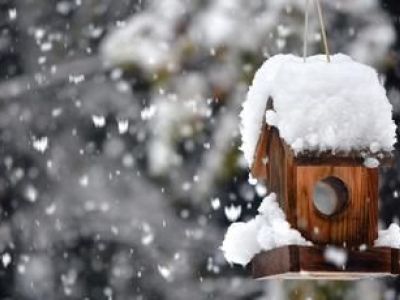 Entretien d’un jardin en hiver