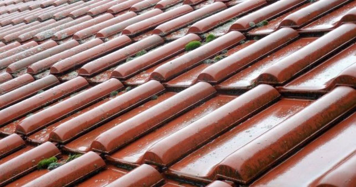 Comment démousser un toit naturellement et efficacement ?
