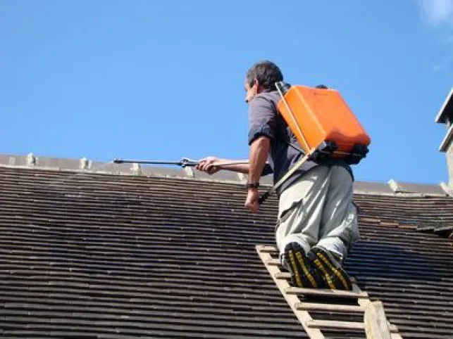 Entretien d’une toiture : faut-il l’hydrofuger ?