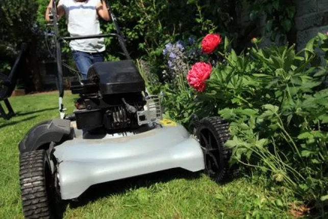 Entretien des espaces verts et jardins en copropriété