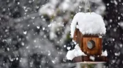 L'entretien du jardin en hiver 