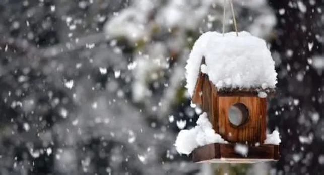 Entretien du jardin en hiver 