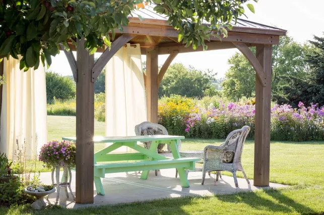 Entretien et nettoyage d’une pergola