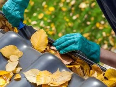 Comment empêcher les oiseaux de s’installer sur une toiture