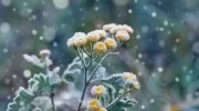 Faire du béton par temps froid