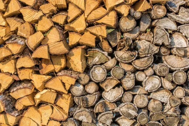 L'humidité est l'ennemi naturel d'un bon stockage de votre bois de chauffage.