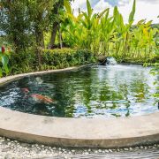 Installer un bassin naturel dans un jardin