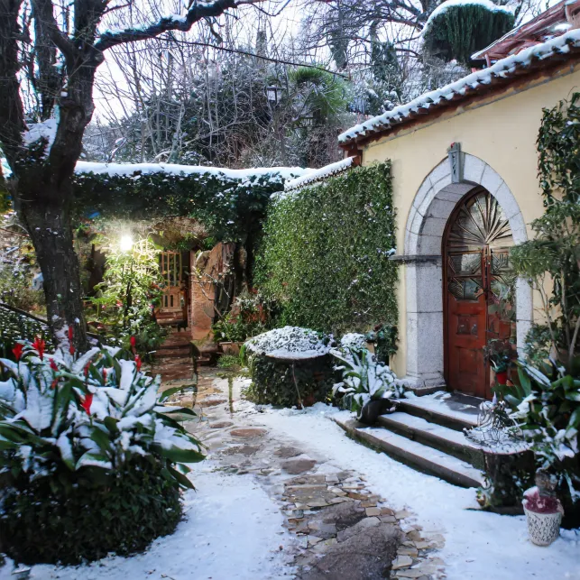 Préparez votre jardin à l'hiver pour un printemps efficace