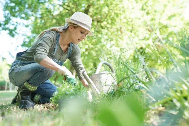 Jardin : le grand nettoyage de printemps