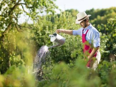 Jardinage et petits travaux : comment payer en chèques CESU ?