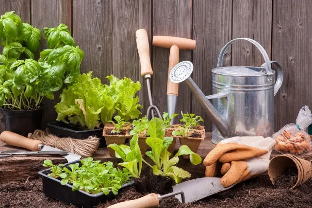 Jardiner en ville : les solutions