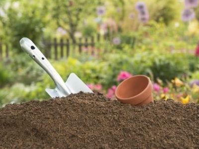 L’apport en azote dans un sol de jardin