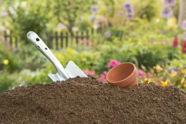 L’apport en azote dans un sol de jardin