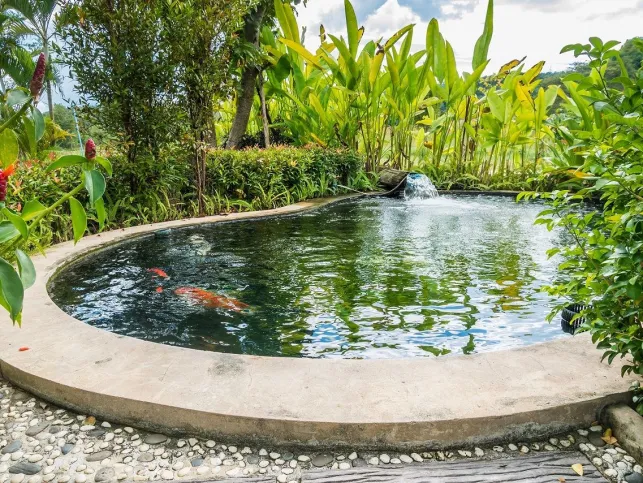 L’entretien d’un bassin de jardin en automne et en hiver