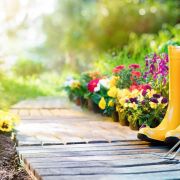 L'entretien d’un jardin fleuri