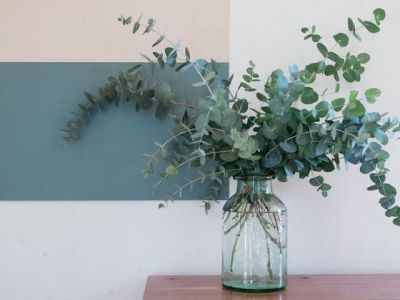 L’eucalyptus en déco, une touche de verdure dans votre maison