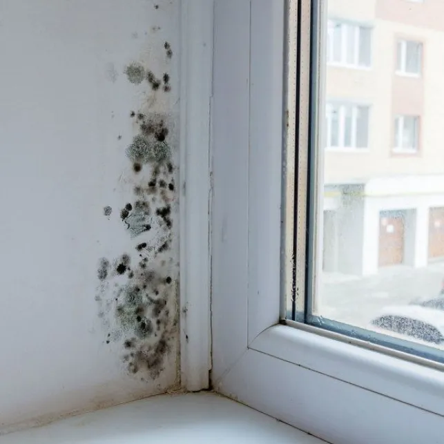 Un logement trop froid en hiver peut causer de l'humidité pouvant dégrader les murs