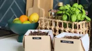 La box jardinage : l’essentiel pour jardiner facilement