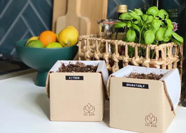 La box jardinage : l’essentiel pour jardiner facilement