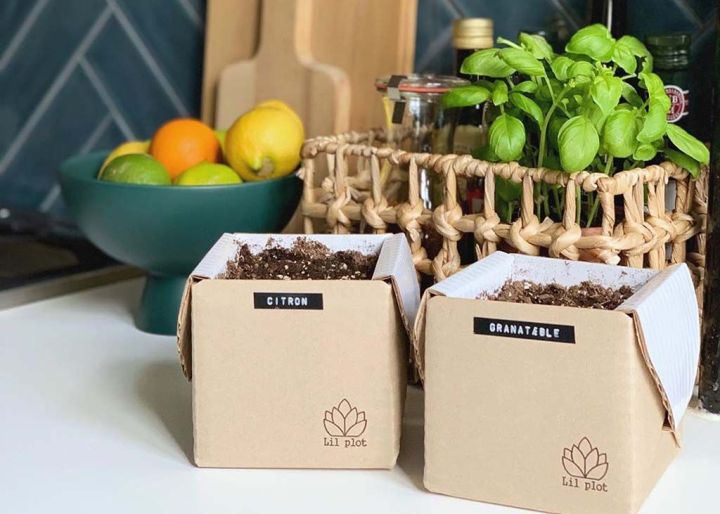 La box jardinage : l’essentiel pour jardiner facilement La box jardinage : l’essentiel pour jardiner facilement