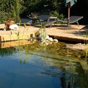 La piscine naturelle