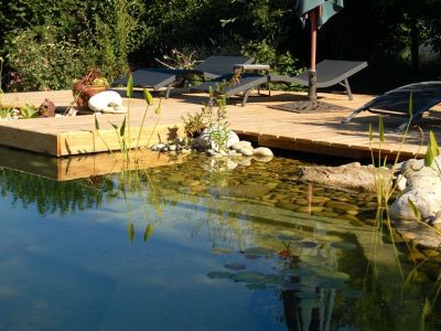 La piscine naturelle