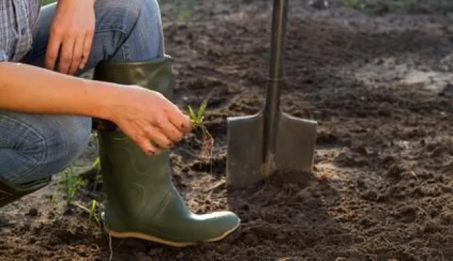 Labourer son jardin : techniques et procédé