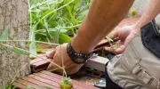 Lambourdes pour terrasse en bois