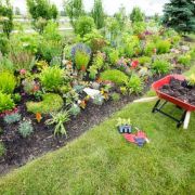 Le jardin d’agrément