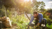 Le jardin en lasagnes, qu'est-ce que c'est&nbsp;?