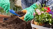 Le jardinage biologique