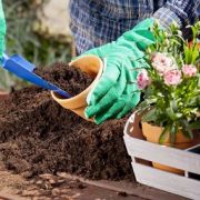 Le jardinage biologique