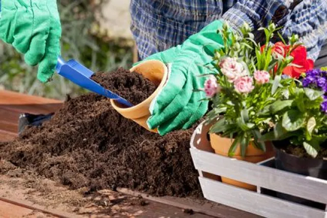 Le jardinage biologique