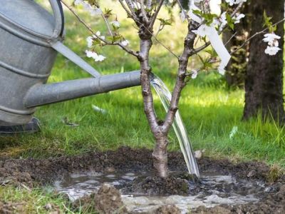 Le matériel d'arrosage de jardin