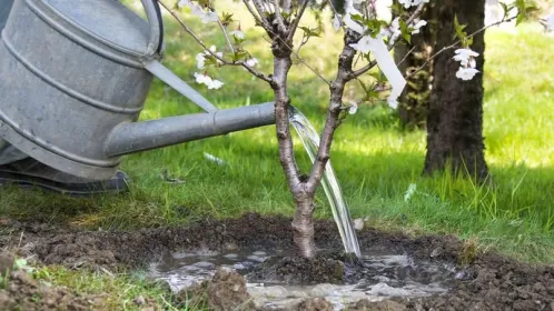 Le matériel d'arrosage de jardin