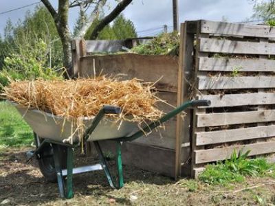 Le paillage en jardinage