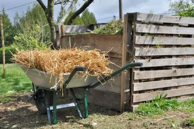 Le paillage en jardinage