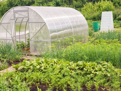 Le prix d’une serre de jardin