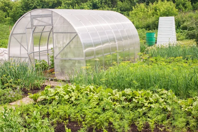 Le prix d’une serre de jardin