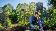 Le top 10 des fruits et légumes simples à cultiver