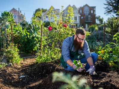 Le top 10 des fruits et légumes simples à cultiver