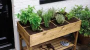 Les bacs potagers : faciles et pratiques&nbsp;!