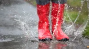 Les dégâts d’une forte pluie sur un jardin