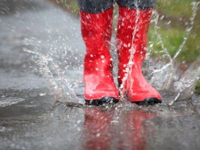 Les dégâts d’une forte pluie sur un jardin