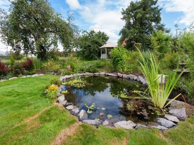 Les différentes formes de bassins de jardin