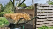 Les différents types de compost