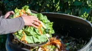 Les erreurs à éviter avec le compost