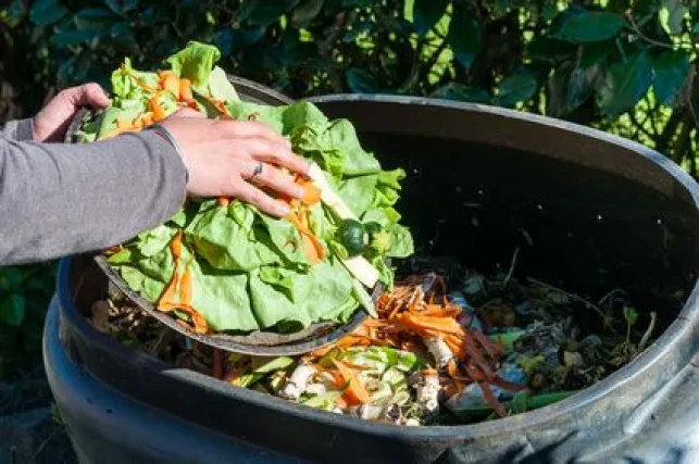 Les erreurs à éviter avec le compost