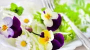 Les fleurs de jardin comestibles